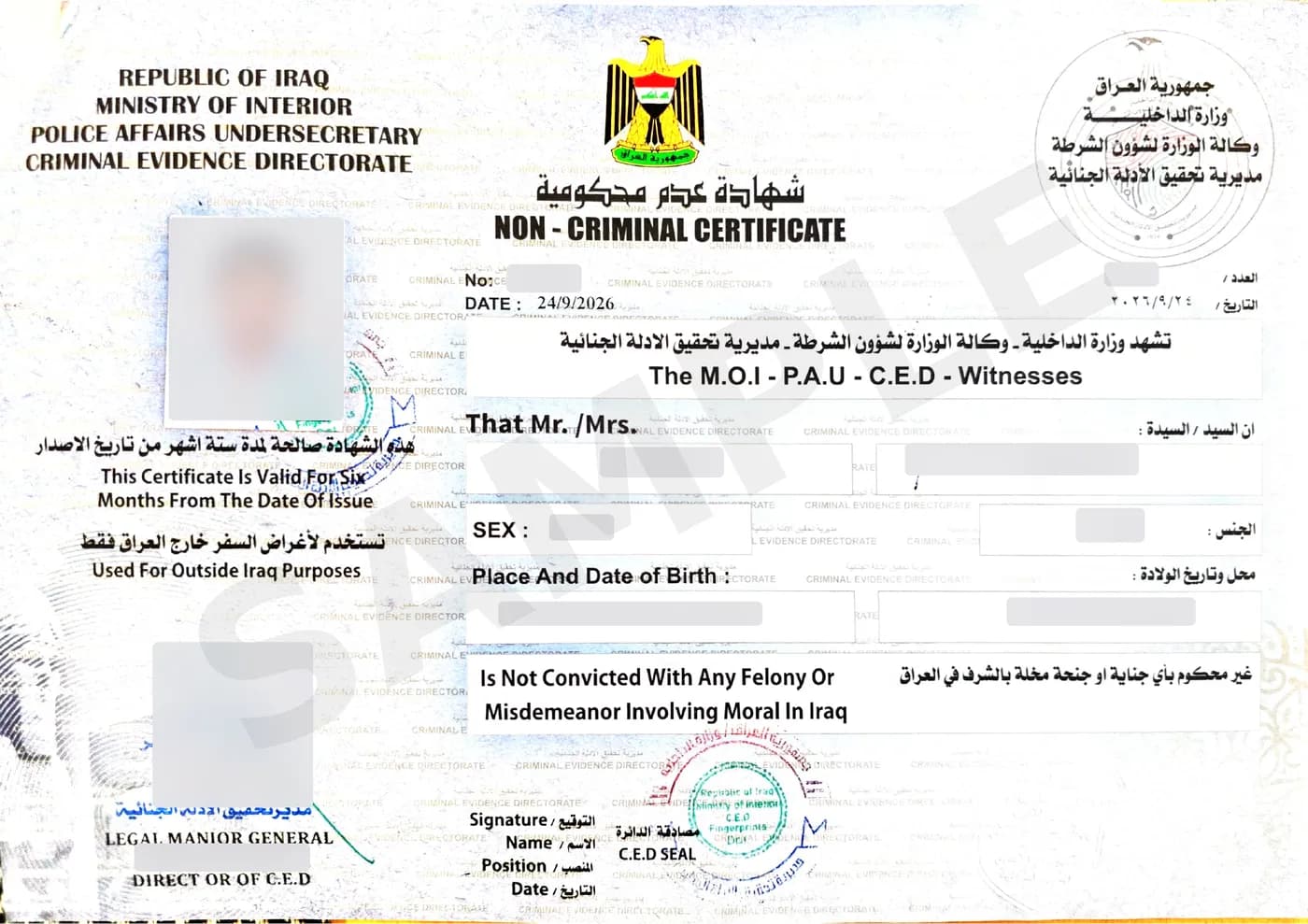 Sample Iraqi Non-Criminal Certificate from the Criminal Evidence Directorate, Ministry of Interior, in Arabic and English, personal details hidden